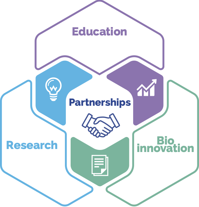 partnerships diagram white